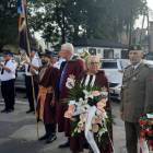 zdjęcie nr 11