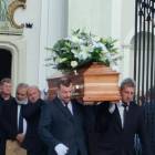 zdjęcie nr 8