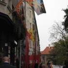 zdjęcie nr 8
