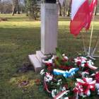 zdjęcie nr 32