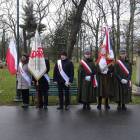 zdjęcie nr 17