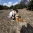 zdjęcie nr 
