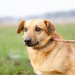 zdjęcie nr 