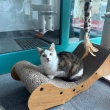 zdjęcie nr 