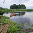 zdjęcie nr 