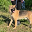 zdjęcie nr 